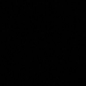 Meet your Posher, Angelina